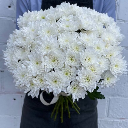 Белая кустовая хризантема - купить с доставкой в по Ачинску