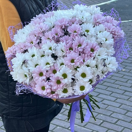 букет из розовой кустовой хризантемы - купить с доставкой в по Ачинску