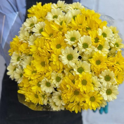 желтая кустовая хризантема - купить с доставкой в по Ачинску